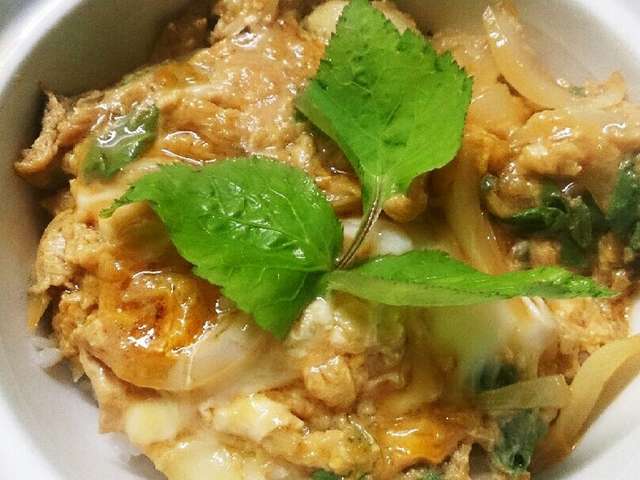 Ngantuoisoneo5 ひどい カツ丼 三つ葉