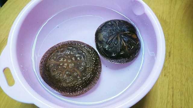 椎茸のヒダの中にいる虫の取り方です レシピ 作り方 By れいぴん クックパッド 簡単おいしいみんなのレシピが354万品