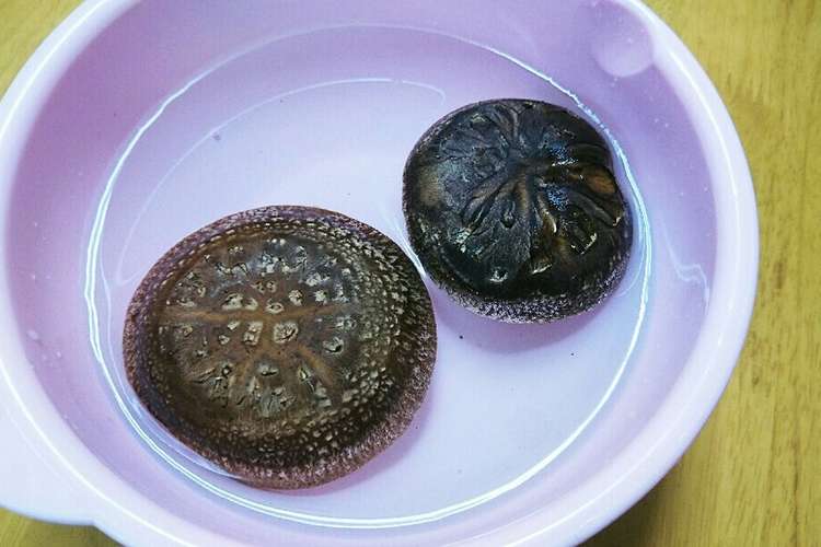 椎茸のヒダの中にいる虫の取り方です レシピ 作り方 By れいぴん クックパッド 簡単おいしいみんなのレシピが361万品