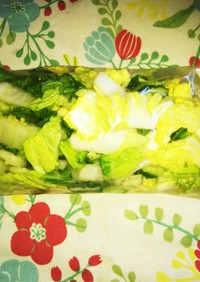 冷蔵庫の常備野菜 (ただの塩づけ)