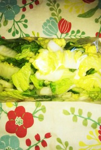 冷蔵庫の常備野菜 (ただの塩づけ)