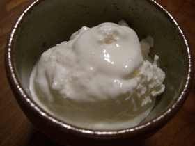ベトナム風フローズンヨーグルト
