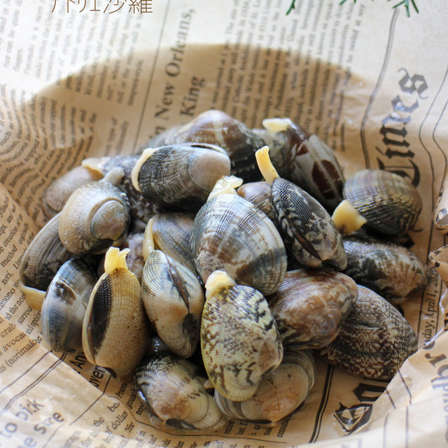 50度で時短 あさりの塩抜き レシピ 作り方 By ｱﾄﾘｴ沙羅 クックパッド 簡単おいしいみんなのレシピが356万品