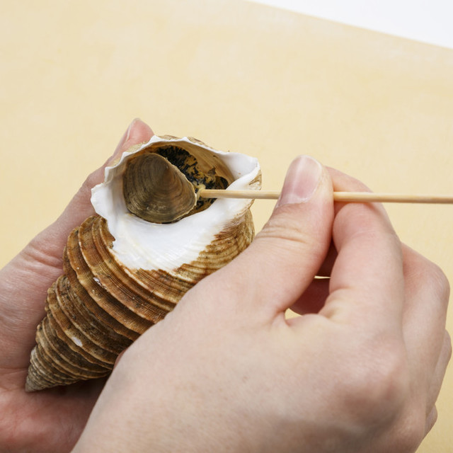 ツブ貝の剥き方 レシピ 作り方 By 北海道食べる通信 クックパッド 簡単おいしいみんなのレシピが356万品