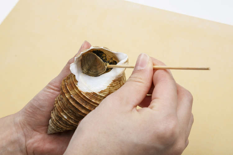 ツブ貝の剥き方 レシピ 作り方 By 北海道食べる通信 クックパッド