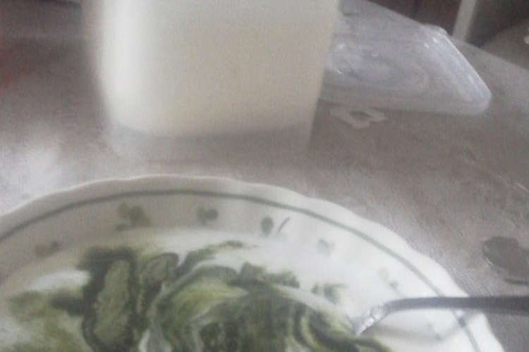 超簡単手作りヨーグルト 実家六本松真由美 レシピ 作り方 By ティンク天皇エンバン クックパッド 簡単おいしいみんなのレシピが359万品