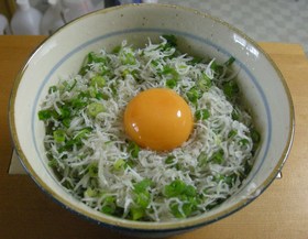 しらす うどん (ク ・ 普 共通)