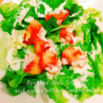 節約トマト＆サニーレタスのシーザーサラダの写真