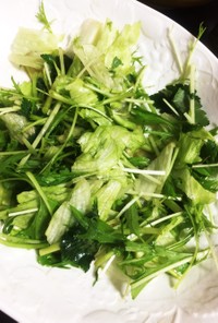 三つ葉と水菜とレタスのサラダ ポン酢ドレ