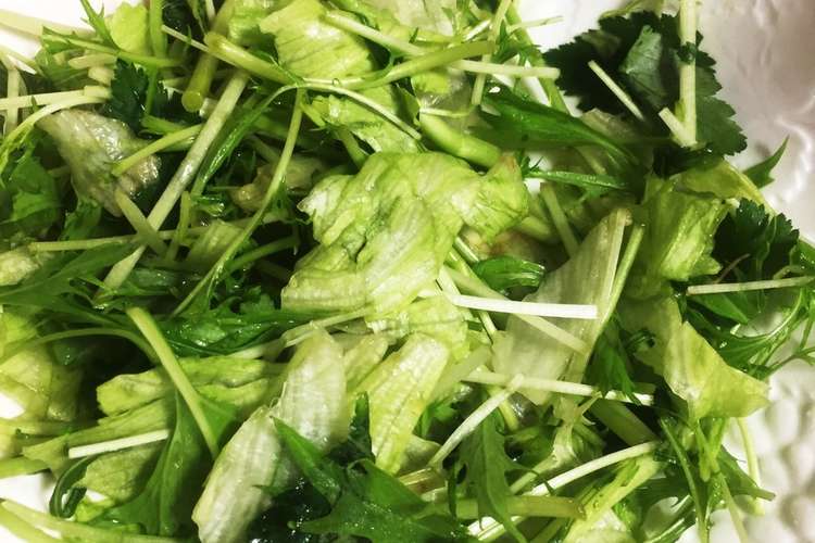 三つ葉と水菜とレタスのサラダ ポン酢ドレ レシピ 作り方 By なにぬねノンシー クックパッド 簡単おいしいみんなのレシピが366万品