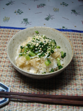 鬼おろし大根で健康どんぶり!