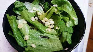 レタスと塩こぶの簡単サラダの写真