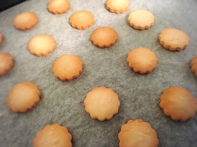 てんさい糖の素朴なクッキーの写真