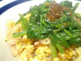 永谷園「青椒肉絲」であんかけチャーハン