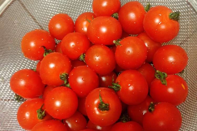 旬の味覚 ミニトマトのトマトソース レシピ 作り方 By クックq8v0so クックパッド 簡単おいしいみんなのレシピが360万品