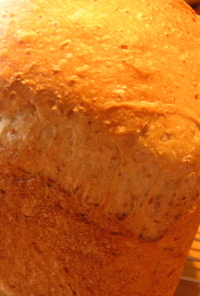 グラハム粉と豆乳のパン