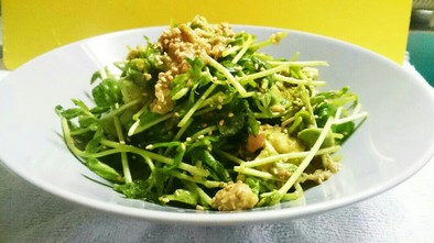 豆苗、アボカド、ツナの簡単サラダの写真
