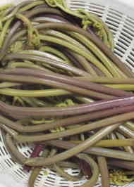 みんなが作ってる わらび ぜんまいのレシピ クックパッド 簡単おいしいみんなのレシピが360万品