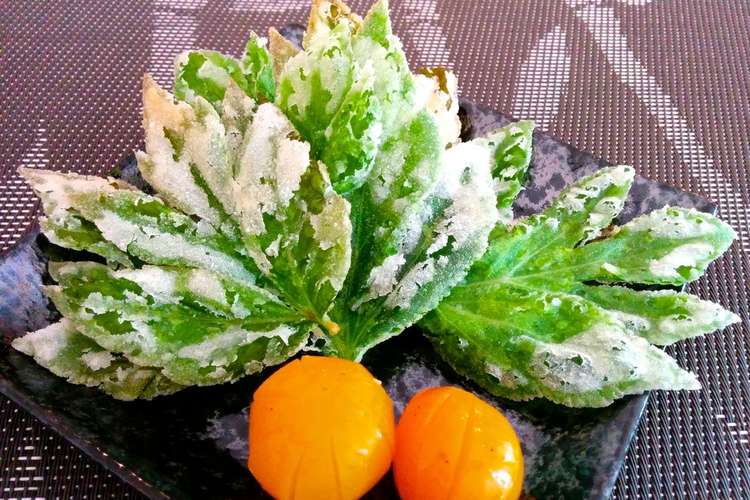 米粉とココナッツオイルで明日葉の天ぷら レシピ 作り方 By ニュークックスタイル クックパッド