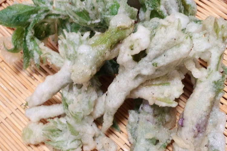 山ウドの栄養の宝庫 穂先でてんぷらを レシピ 作り方 By クックsj0y9v クックパッド 簡単おいしいみんなのレシピが357万品