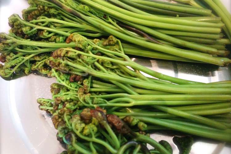 旨味と食感を逃がさないわらびの灰汁抜き レシピ 作り方 By ニュークックスタイル クックパッド 簡単おいしいみんなのレシピが356万品