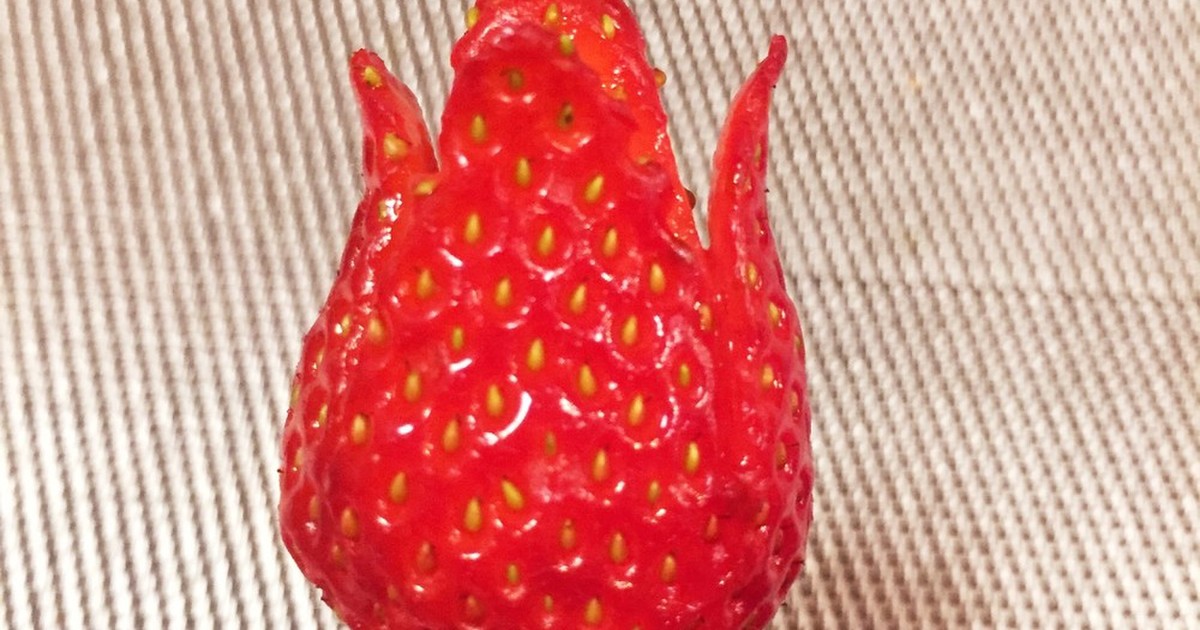 苺の飾り切り チューリップ レシピ 作り方 By にゃおこ先生 クックパッド 簡単おいしいみんなのレシピが350万品