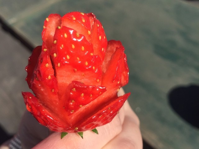 苺の飾り切り バラ 薔薇 レシピ 作り方 By にゃおこ先生 クックパッド 簡単おいしいみんなのレシピが355万品 苺の飾り切り バラ 薔薇 レシピ 作り方 By にゃおこ先生 クックパッド 簡単おいしいみんなのレシピが355万品