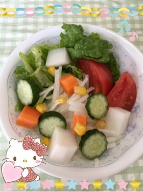 野菜サラダ〜(o˘◡˘o)♡