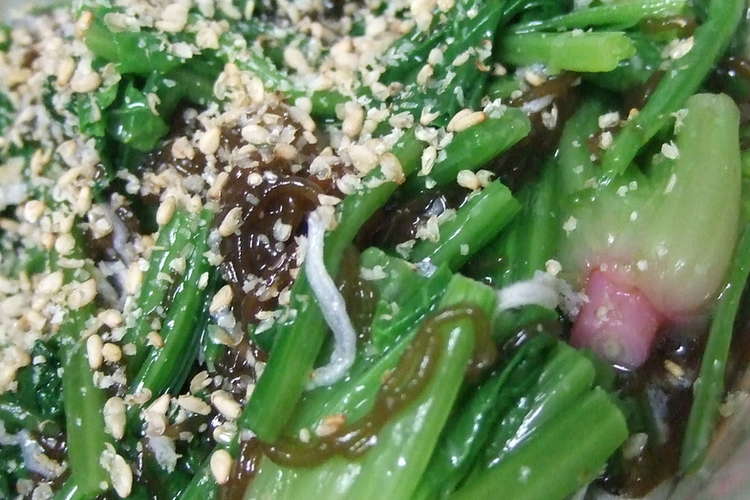 味付け不要 ほうれんそうともずくの和え物 レシピ 作り方 By とーみママ クックパッド 簡単おいしいみんなのレシピが352万品