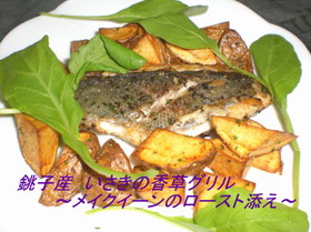 いさきの香草グリル