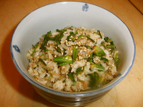 コシアブラの混ぜご飯