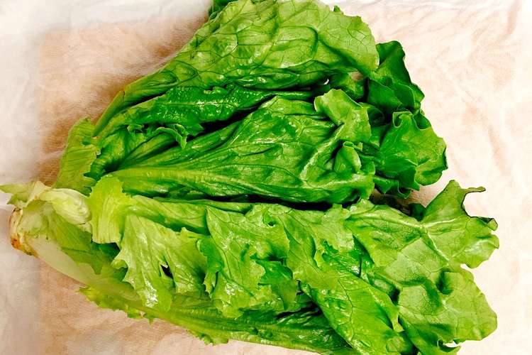 葉物野菜 ハーブの超 長持ち保存方法 レシピ 作り方 By Rioxx クックパッド 簡単おいしいみんなのレシピが365万品