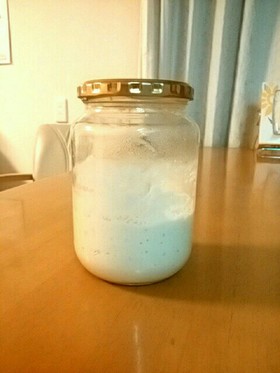 レーズン酵母で元種作り