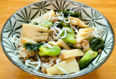 健康的空豆と竹の子の持ち麦ご飯の写真