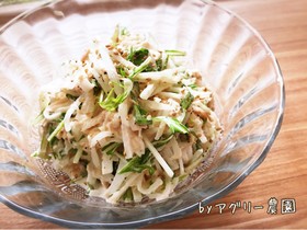 パパッと簡単!水菜と大根シーチキンサラダ