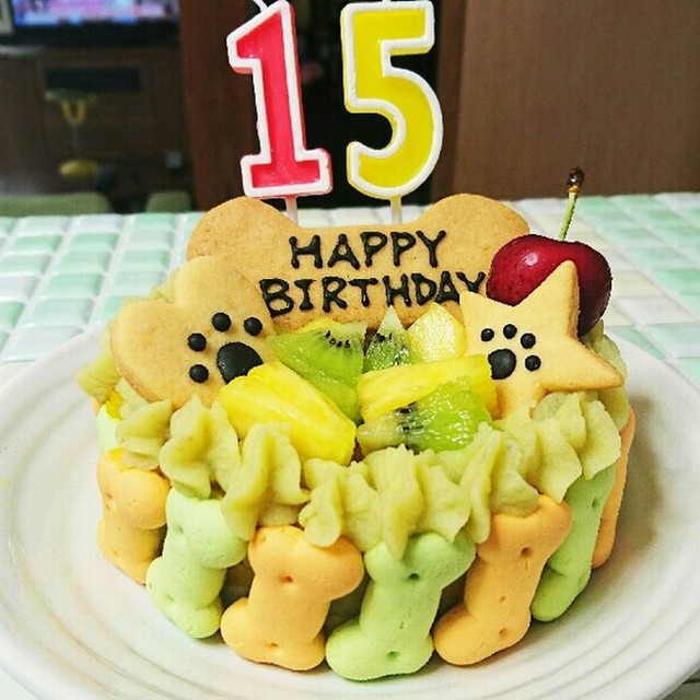 犬用の誕生日ケーキ レシピ 作り方 By ティア05 クックパッド 簡単おいしいみんなのレシピが360万品 犬用の誕生日ケーキ レシピ 作り方 By ティア05 クックパッド 簡単おいしいみんなのレシピが360万品