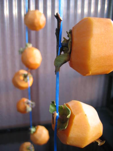 干し柿に挑戦中の写真
