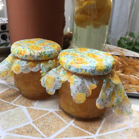 甘夏みかんのジャムとピール