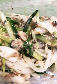 水菜と鯖の夏野菜サラダ