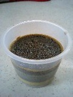 黒ごまプリン