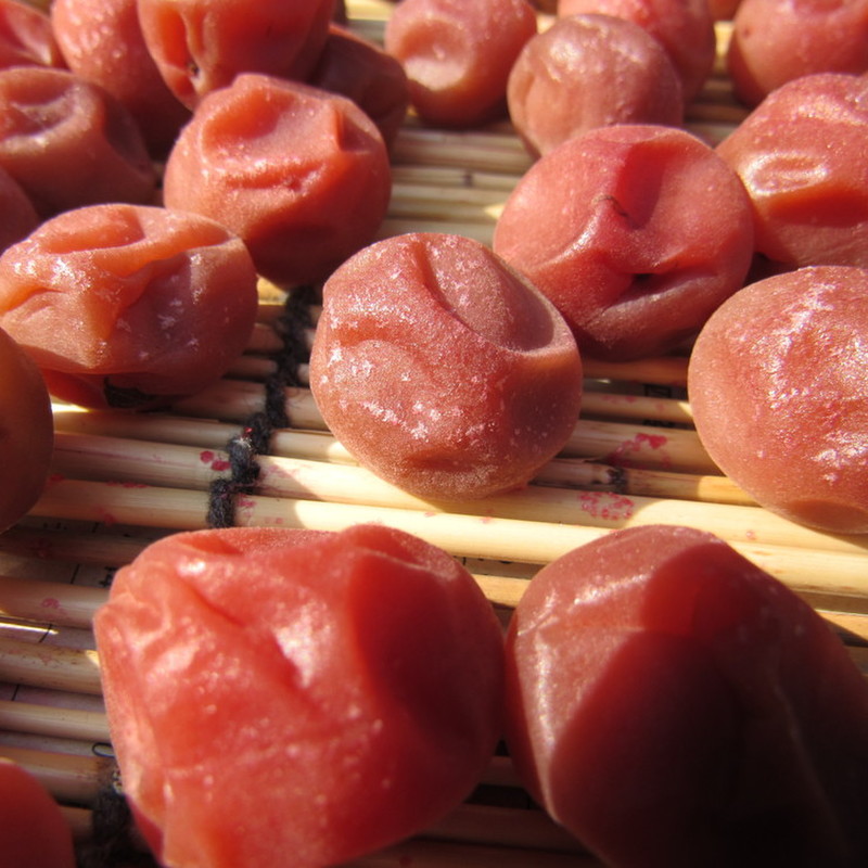 みんなが作ってる 小梅 ジップロックのレシピ クックパッド 簡単おいしいみんなのレシピが358万品