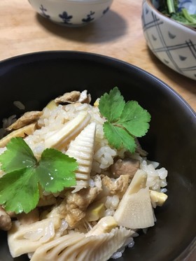 鶏肉入り たけのこご飯