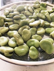 絶妙☆そら豆の茹で方の写真