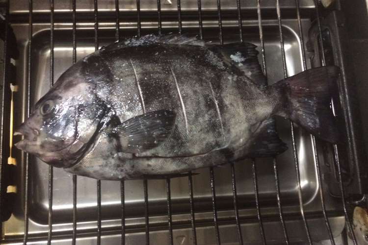 石鯛の塩焼き レシピ 作り方 By うるぽん３ クックパッド 簡単おいしいみんなのレシピが373万品