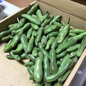 そら豆の茹で方&冷凍保存