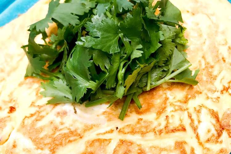 3分で出来る パクチー乗せモヤシオムレツ レシピ 作り方 By ゆみぞーめし クックパッド 簡単おいしいみんなのレシピが357万品