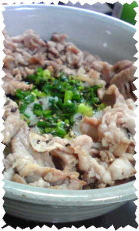 ホットモットよりおいしい❤塩豚ねぎ丼