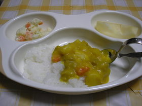 完了期のカレーライス