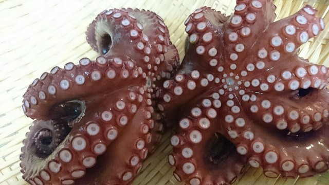 ヌメリが取りやすい簡単生蛸の茹で方 レシピ 作り方 By 釣り好きおやじ クックパッド