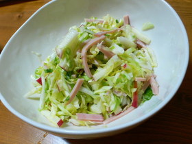 りんごとキャベツのさっぱりサラダ
